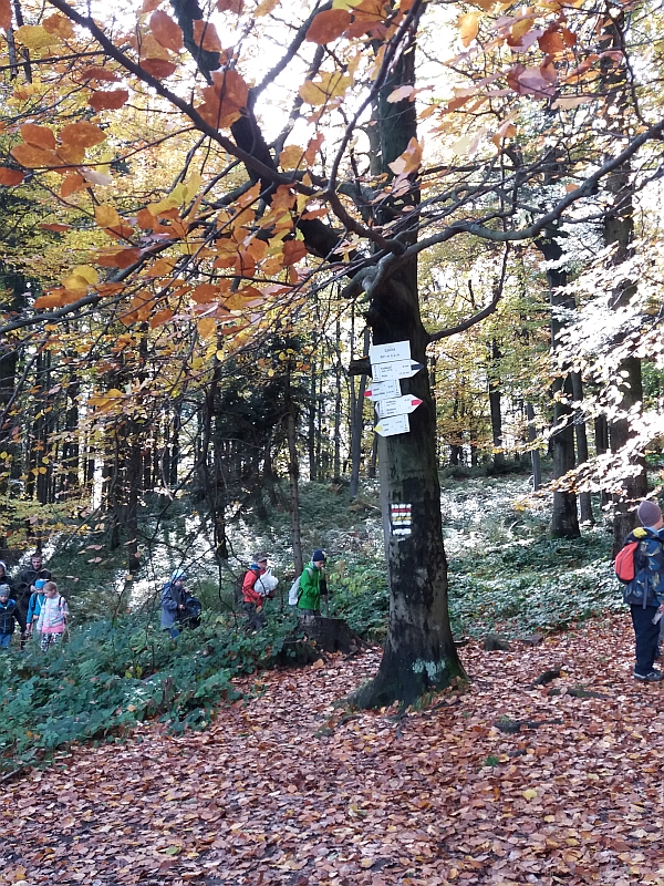 Wycieczka w Beskid Makowski kl. 3a - zdjęcie 11