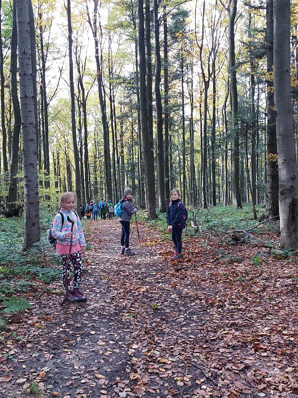 Wycieczka w Beskid Makowski kl. 3a - zdjęcie 12