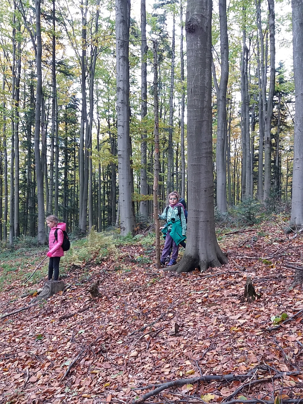 Wycieczka w Beskid Makowski kl. 3a - zdjęcie 13