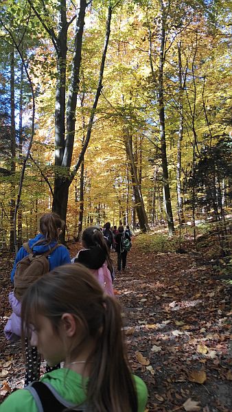 Relacja z wycieczki do Ojcowa - 23 października 2025 r. - zdjęcie 6