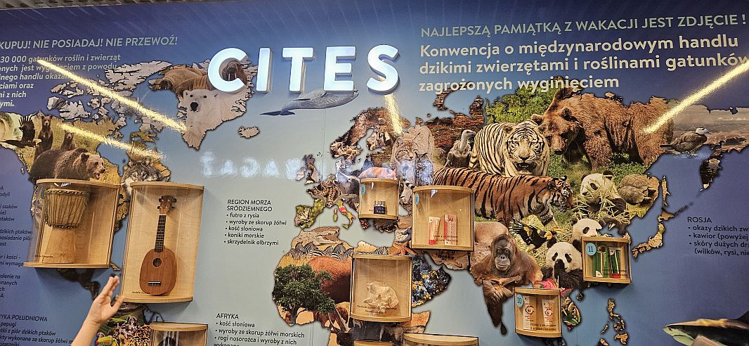 Wycieczka do Centrum Edukacji Lotniczej Kraków Airport 2025 - zdjęcie 8