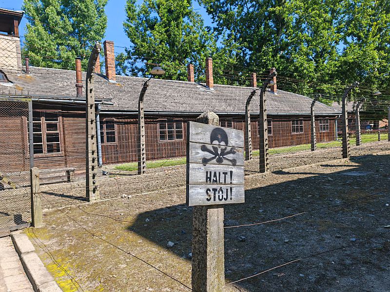 Wyjazd do Muzeum Auschwitz 2025 - zdjęcie 13