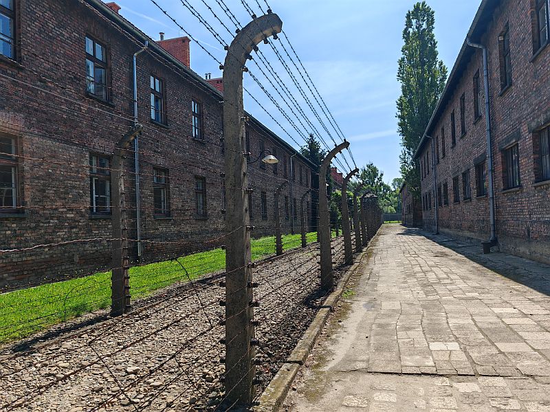 Wyjazd do Muzeum Auschwitz 2025 - zdjęcie 17