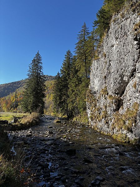 Wycieczka do Doliny Kościeliskiej kl. 5 - zdjęcie 7