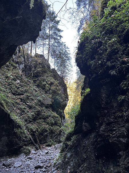 Wycieczka do Doliny Kościeliskiej kl. 5 - zdjęcie 29