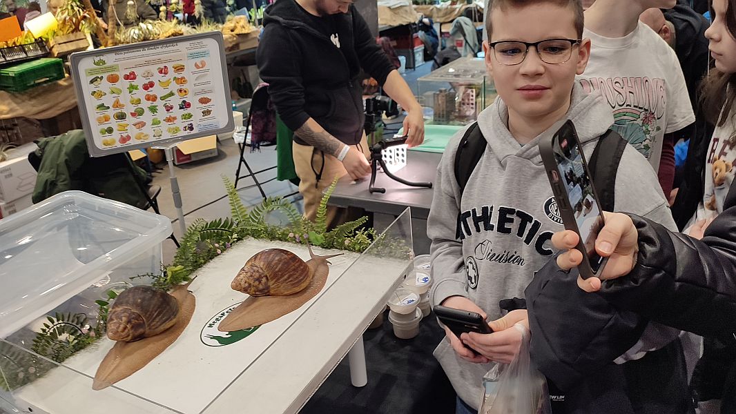 Fascynująca lekcja przyrody – nasi uczniowie na Exotic Fest Kraków! - zdjęcie 22