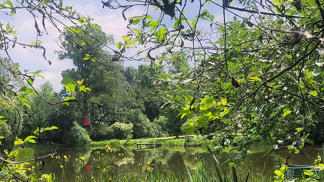 Krakowski Park Linowy - zdjęcie 1