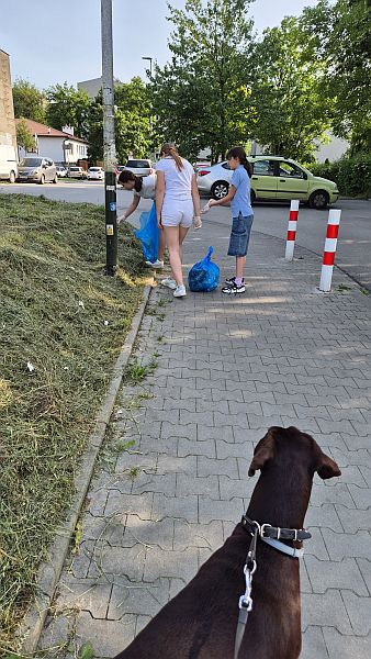 Sprzątanie Świata 2025 - zdjęcie 3