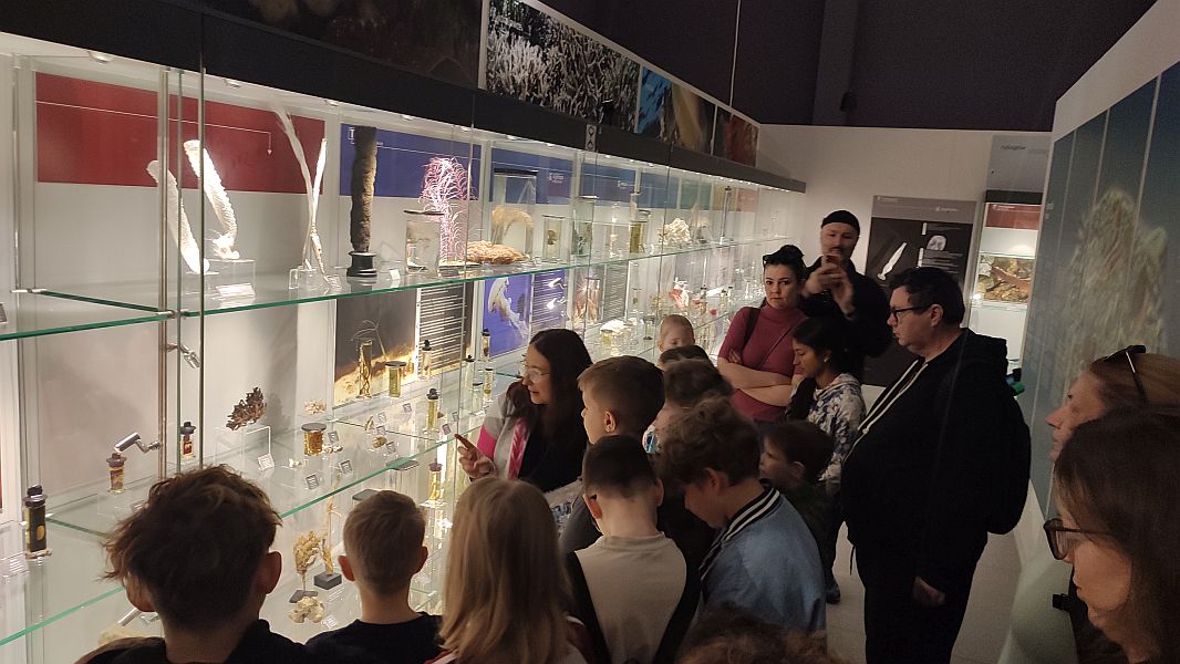 ''W krainie Neptuna'' - zdjęcie 7