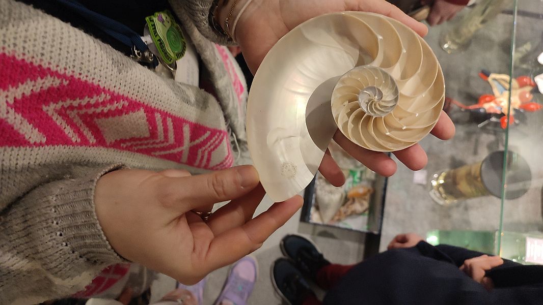 ''W krainie Neptuna'' - zdjęcie 23