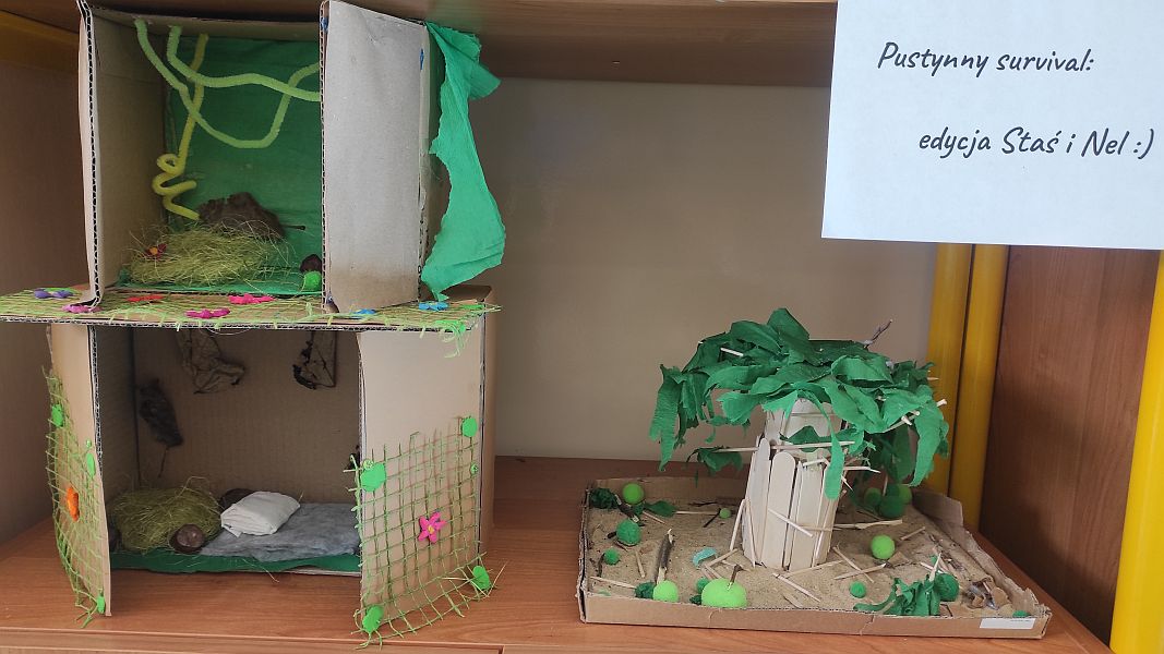 ''W pustyni i w puszczy'' - zdjęcie 13