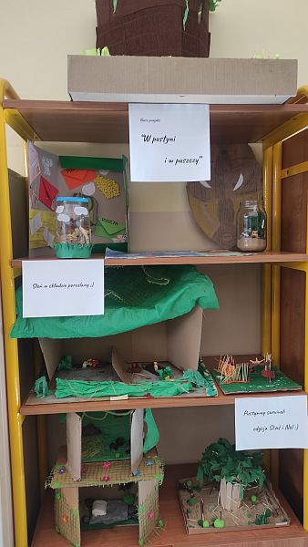 ''W pustyni i w puszczy'' - zdjęcie 15