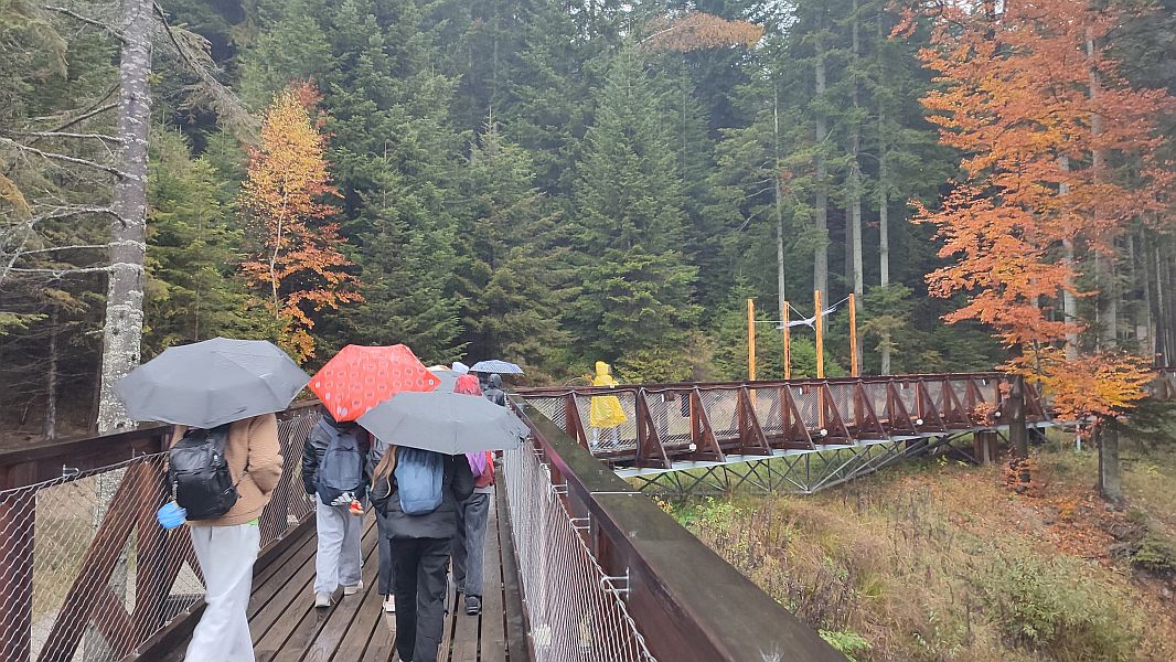 Z Wizytą w Niedzicy i Bramie w Gorce - zdjęcie 26