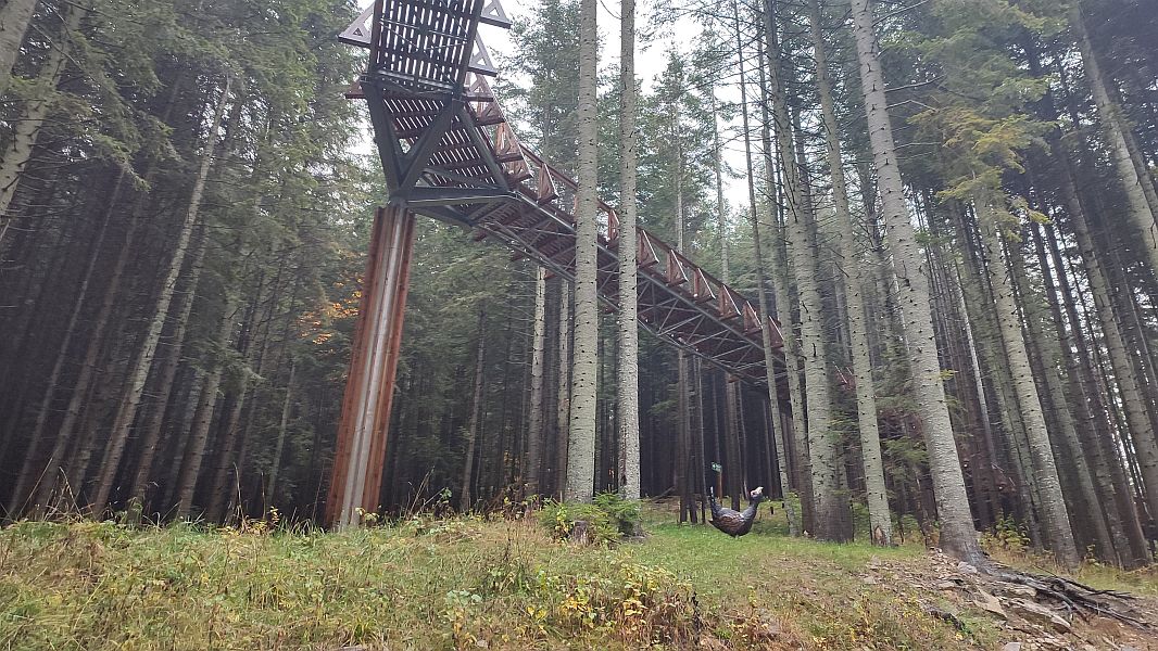 Z Wizytą w Niedzicy i Bramie w Gorce - zdjęcie 10