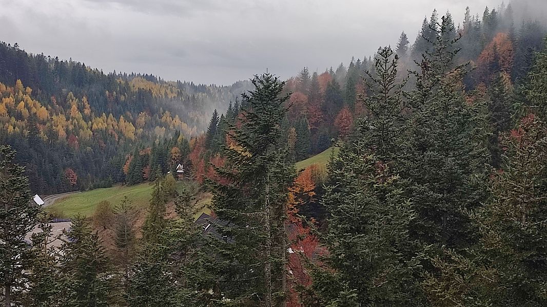 Z Wizytą w Niedzicy i Bramie w Gorce - zdjęcie 17