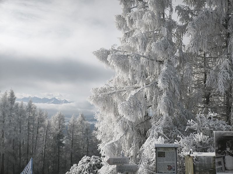 KLUSZKOWCE SKI, MIZERNA 2026 - zdjęcie 9