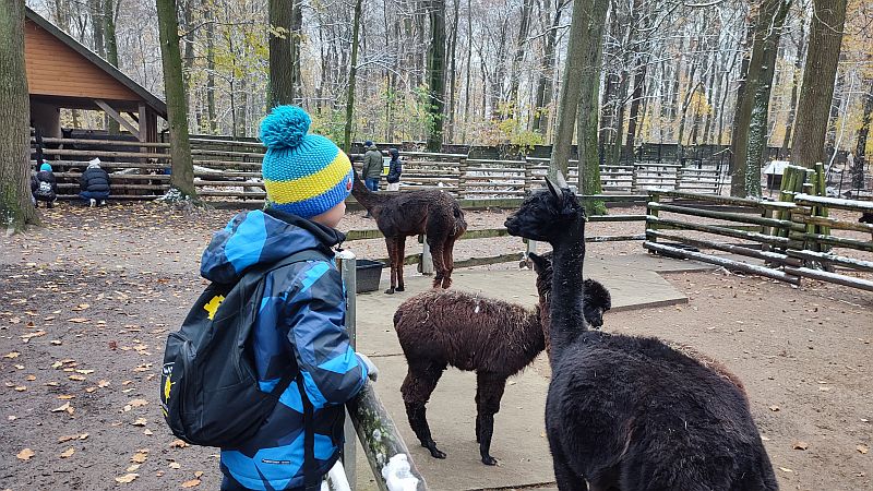 Wycieczka koła biologicznego do Ogrodu Zoologicznego w Krakowie - zdjęcie 3