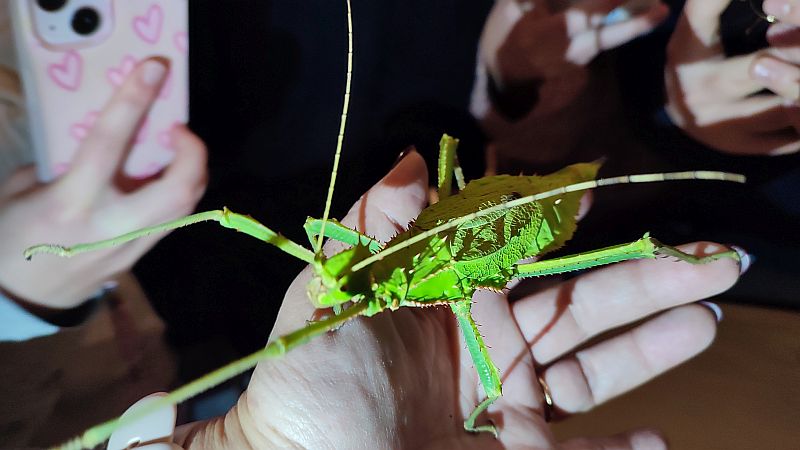 Wycieczka koła biologicznego do Ogrodu Zoologicznego w Krakowie - zdjęcie 13