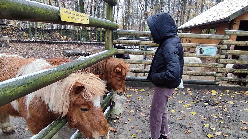 Wycieczka koła biologicznego do Ogrodu Zoologicznego w Krakowie - zdjęcie 1