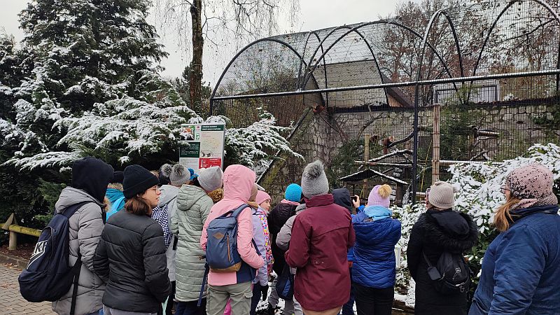 Wycieczka koła biologicznego do Ogrodu Zoologicznego w Krakowie - zdjęcie 11