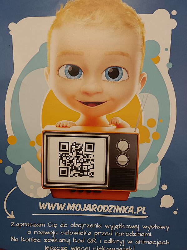 Projekt ''Życie jest piękne'' - zdjęcie 9