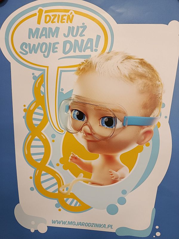 Projekt ''Życie jest piękne'' - zdjęcie 10