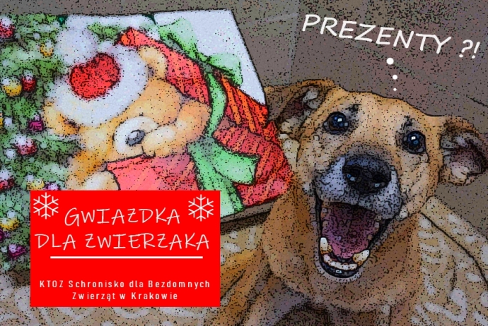 GWIAZDKA DLA ZWIERZAKA 2021