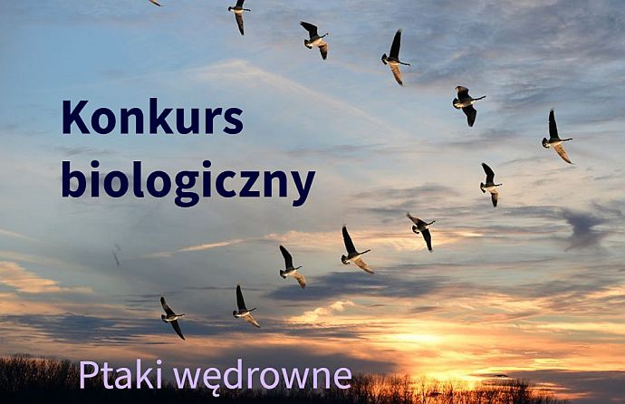 Szkolny konkurs biologiczny ''Ptaki Wędrowne''