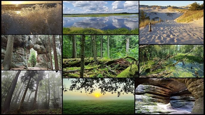 Szkolny konkurs biologiczny - ''Poznajemy parki narodowe''