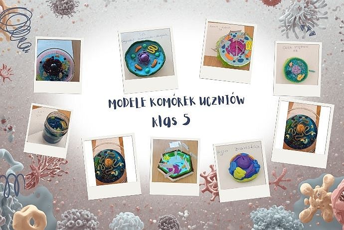 Modele komórek uczniów klas piątych