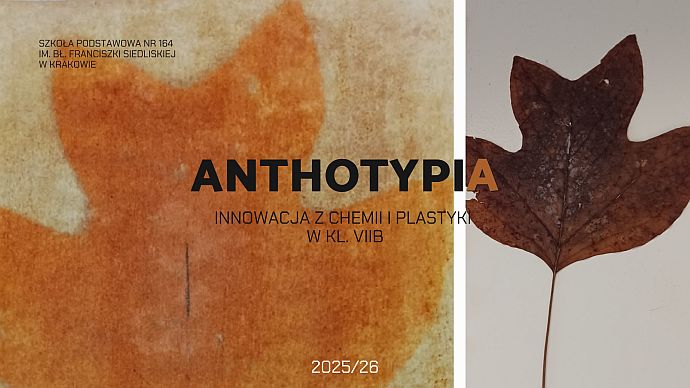 Chemia i sztuka w fotografii naturalnej - innowacja w klasie VIIb