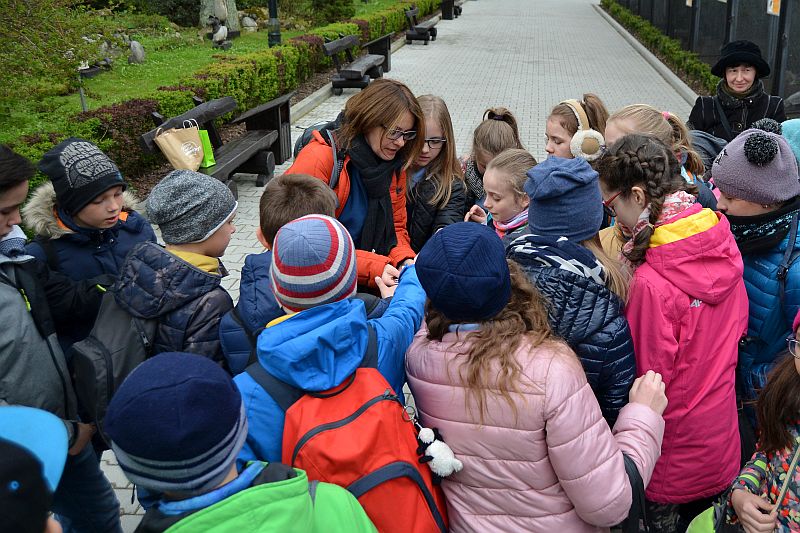 Warsztaty języka niemieckiego w ZOO - zdjęcie 18