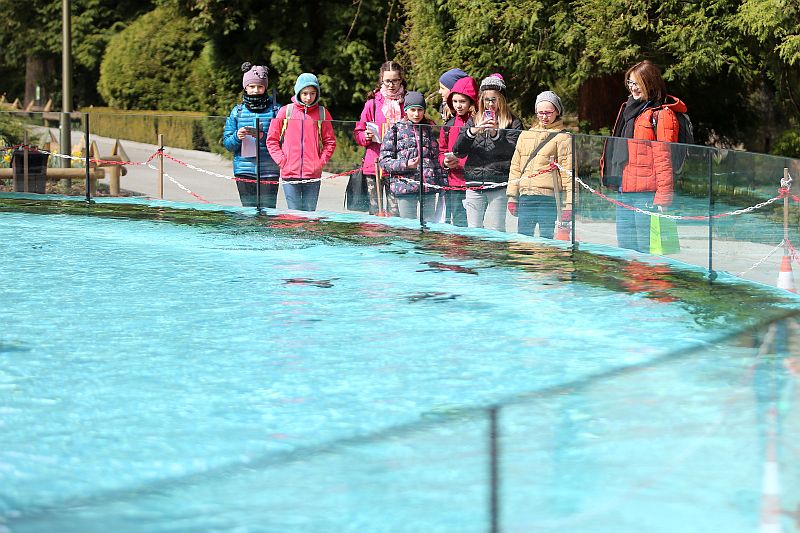 Warsztaty języka niemieckiego w ZOO - zdjęcie 1