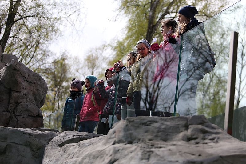 Warsztaty języka niemieckiego w ZOO - zdjęcie 3