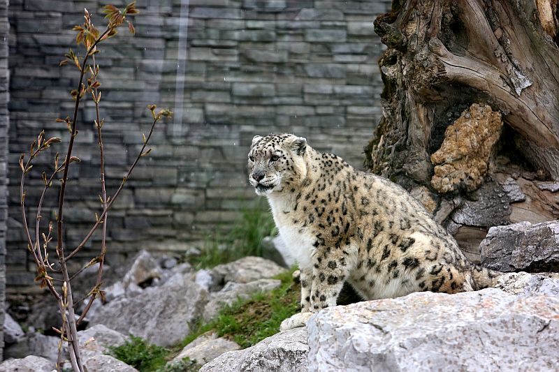 Warsztaty języka niemieckiego w ZOO - zdjęcie 5