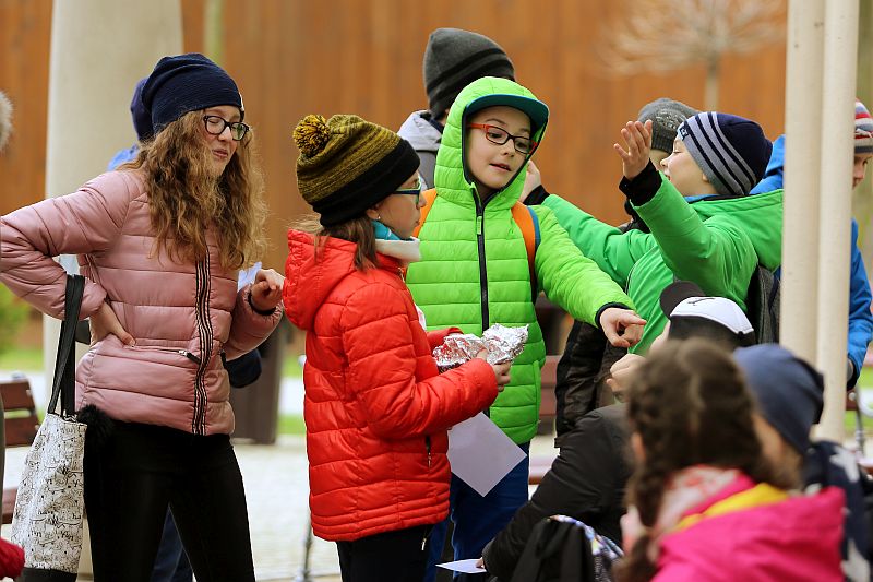 Warsztaty języka niemieckiego w ZOO - zdjęcie 9